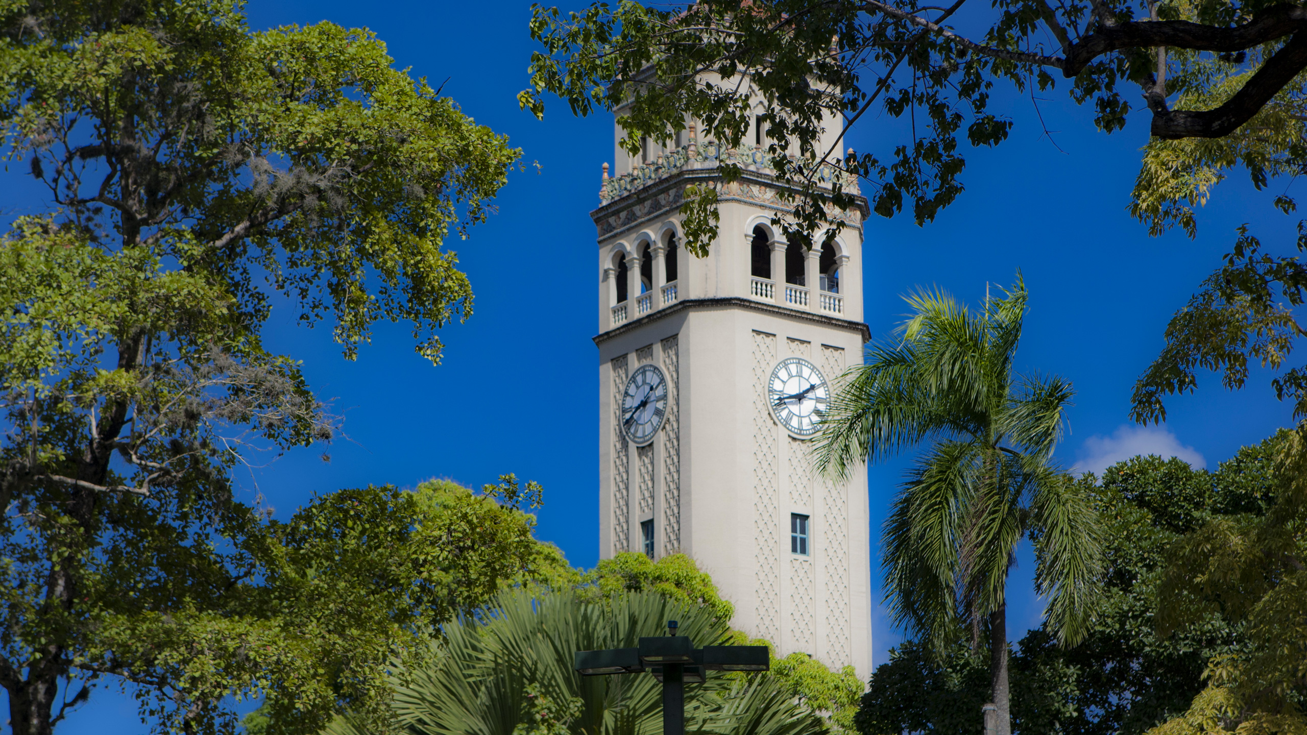 torre torre upr
