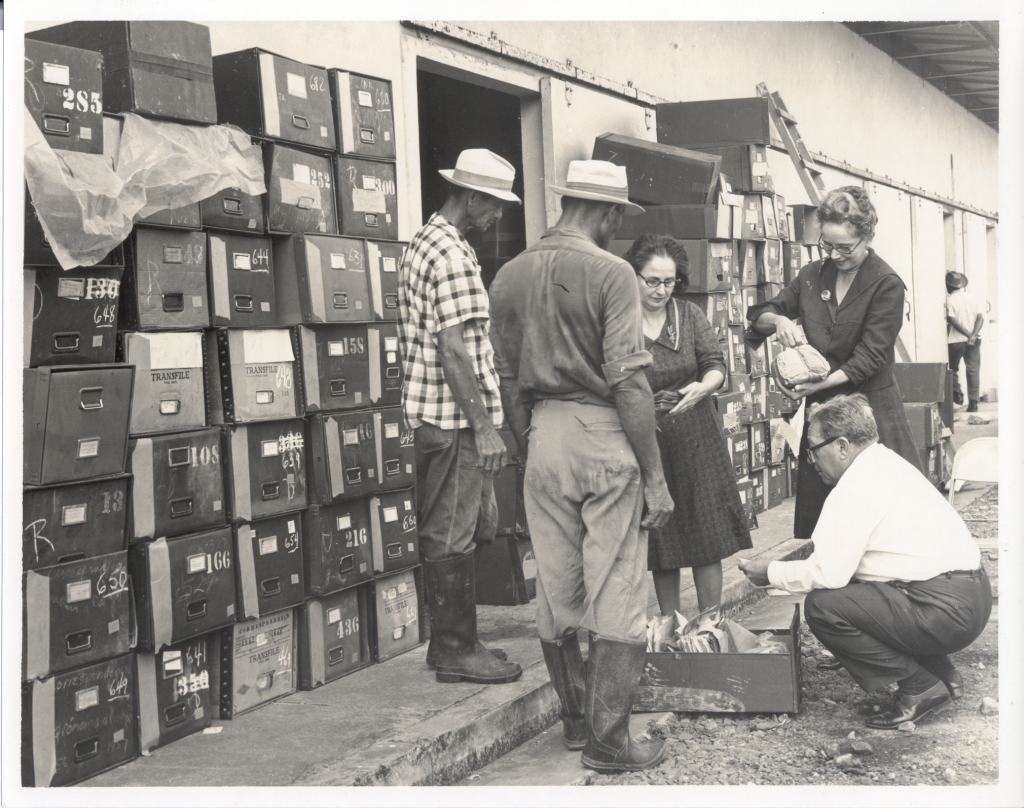 Administración de documentos 1959