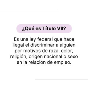 Qué es Título VII_Page_2