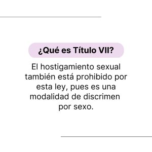 Qué es Título VII_Page_4