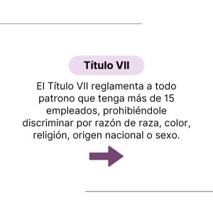 Qué es Título VII_Page_6