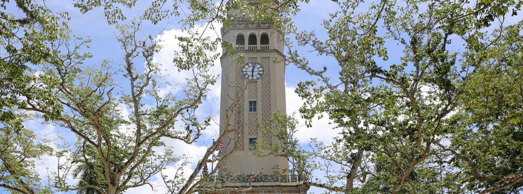 Foto de la Torre