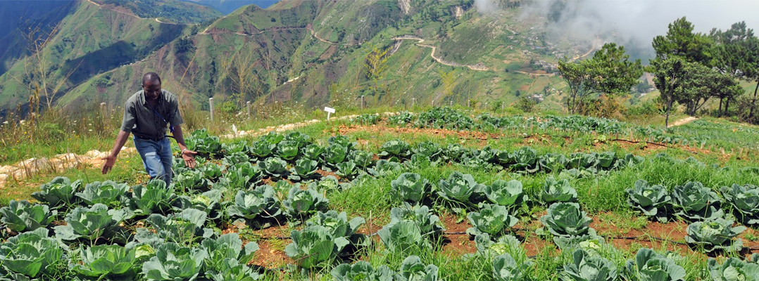 haiti