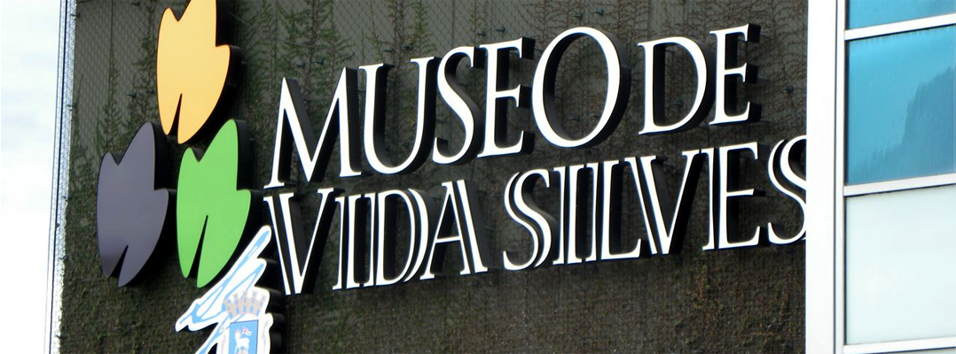 museo arte y vida silvestre