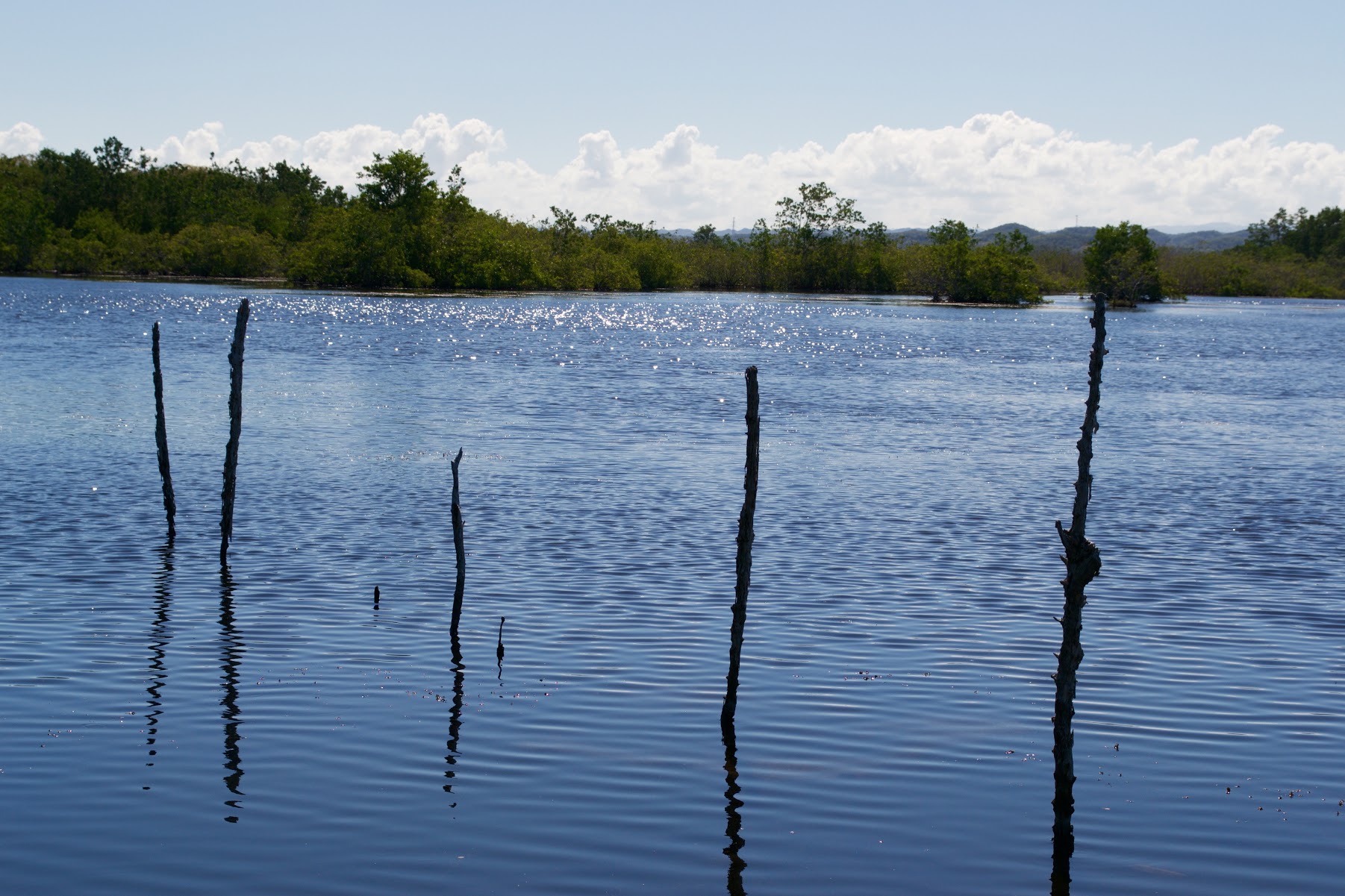 Caño Tiburones