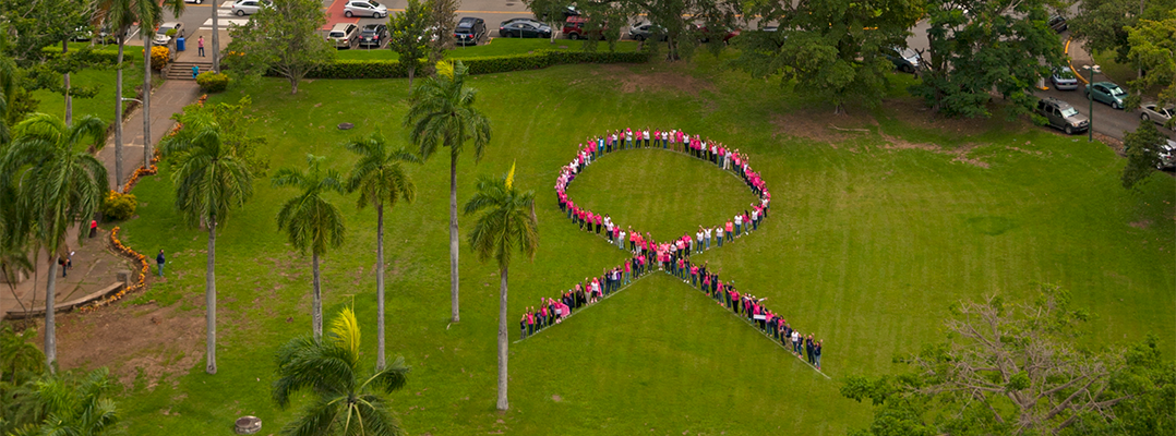 lazo humano rosa