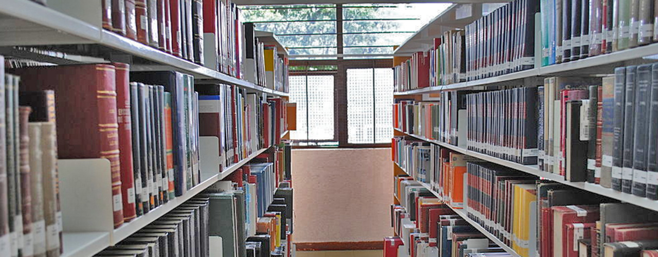 Anaqueles de una biblioteca llenas de libros en ambos lados