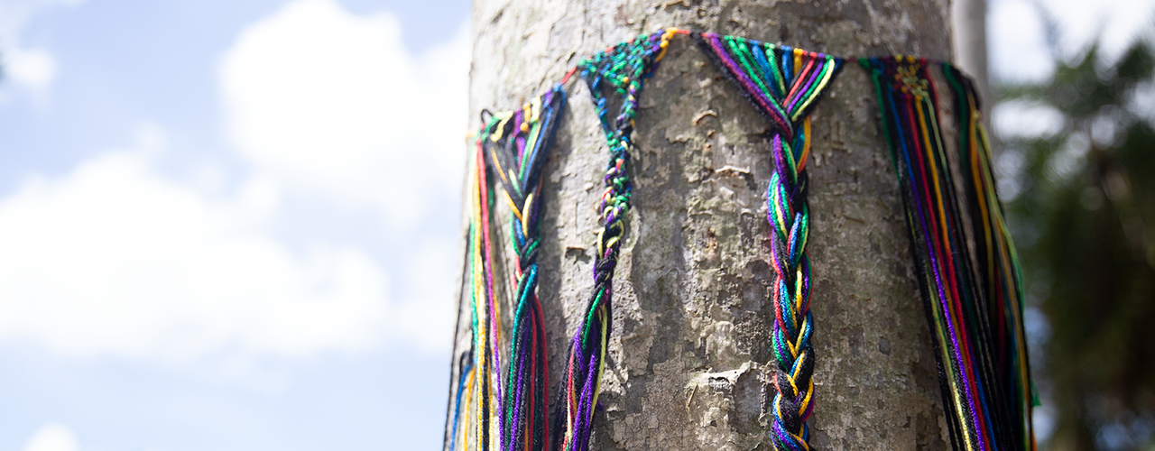 yarn-bombing-tree