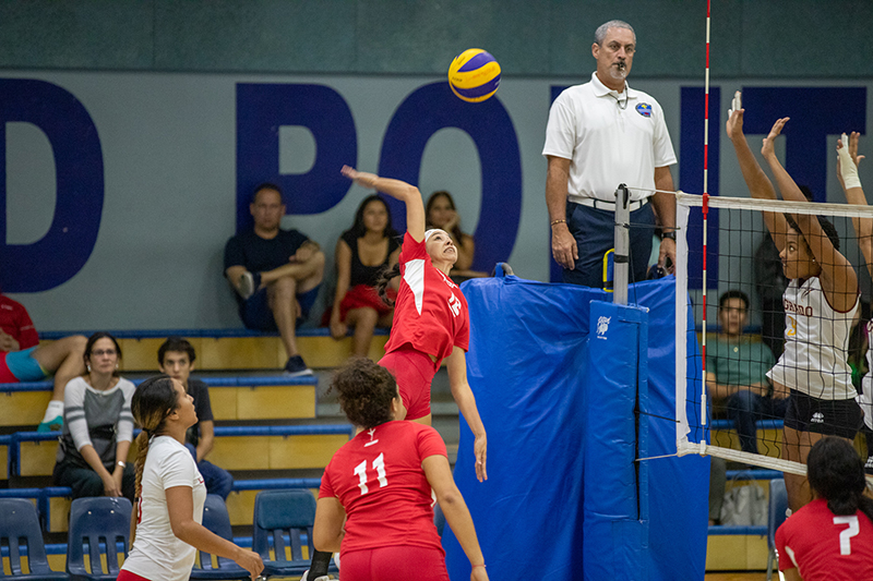 voleibol