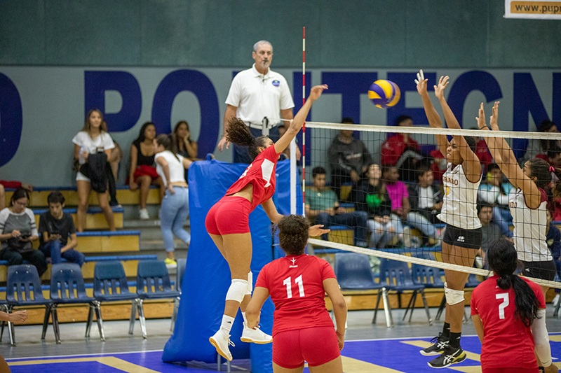 voleibol