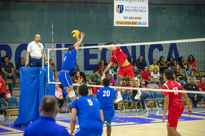 voleibol