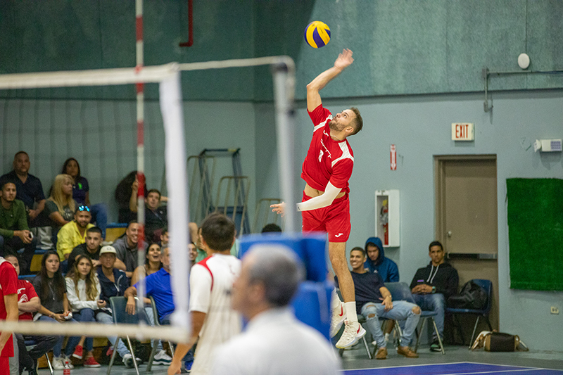 voleibol