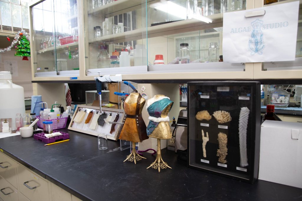 Foto del laboratorio donde se llevan a cabo los trabajos con los desarrollaron textiles utilizando macroalgas