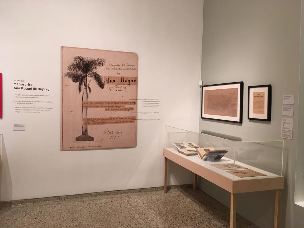 Exhibición en el Museo de la UPRRP