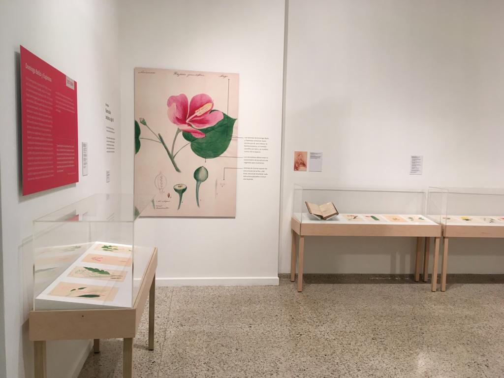 Exhibición en el Museo de la UPRRP