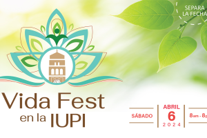 Portada-VidaFest