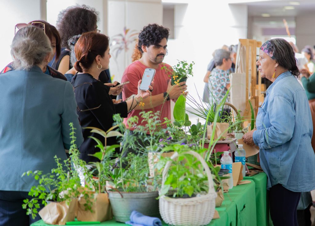 Algunos de los productos disponibles en el mercado agrícola.