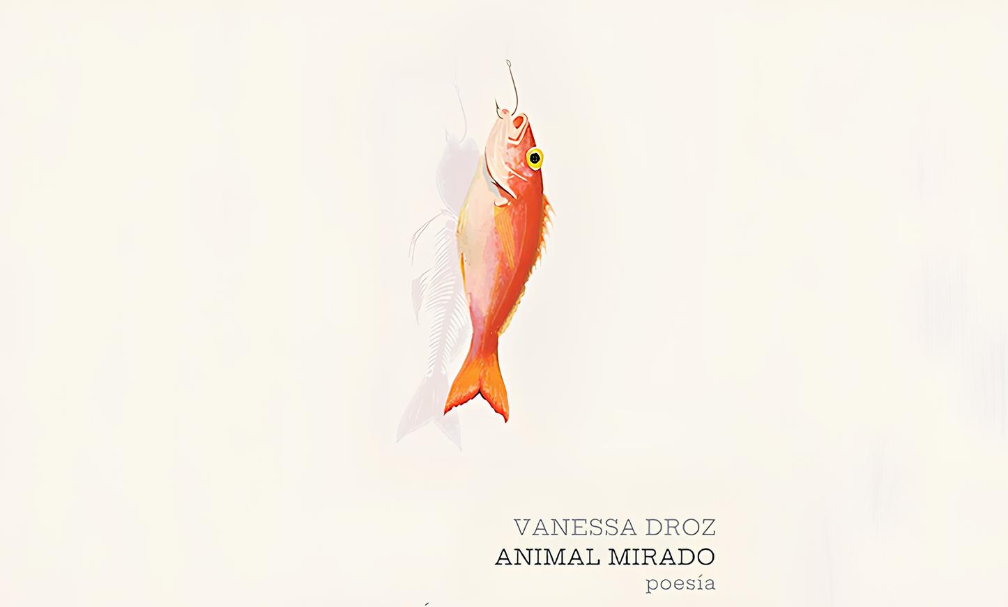Portada Animal Mirado Antología de Vanessa Droz