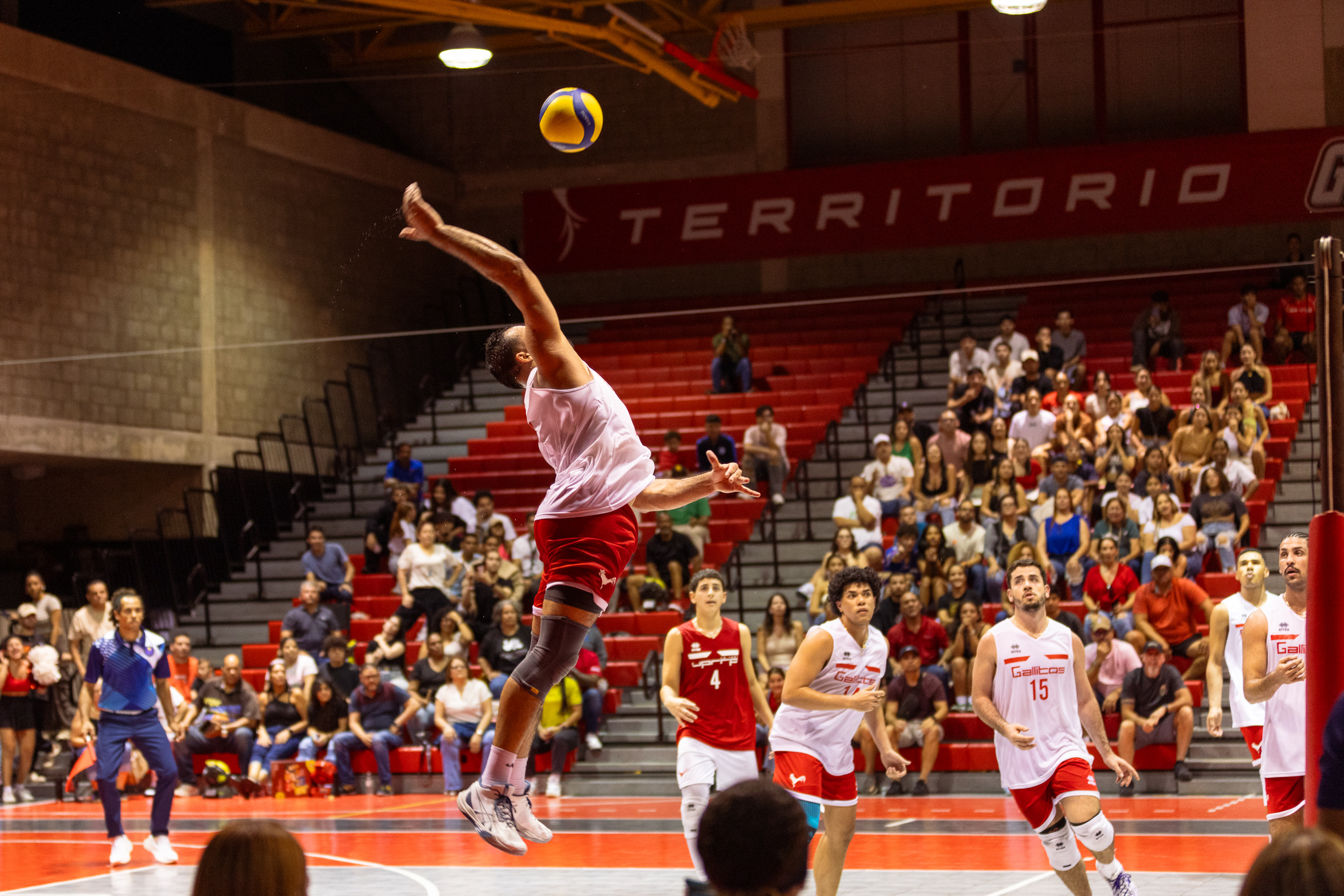 Equipo de voleibol masculino