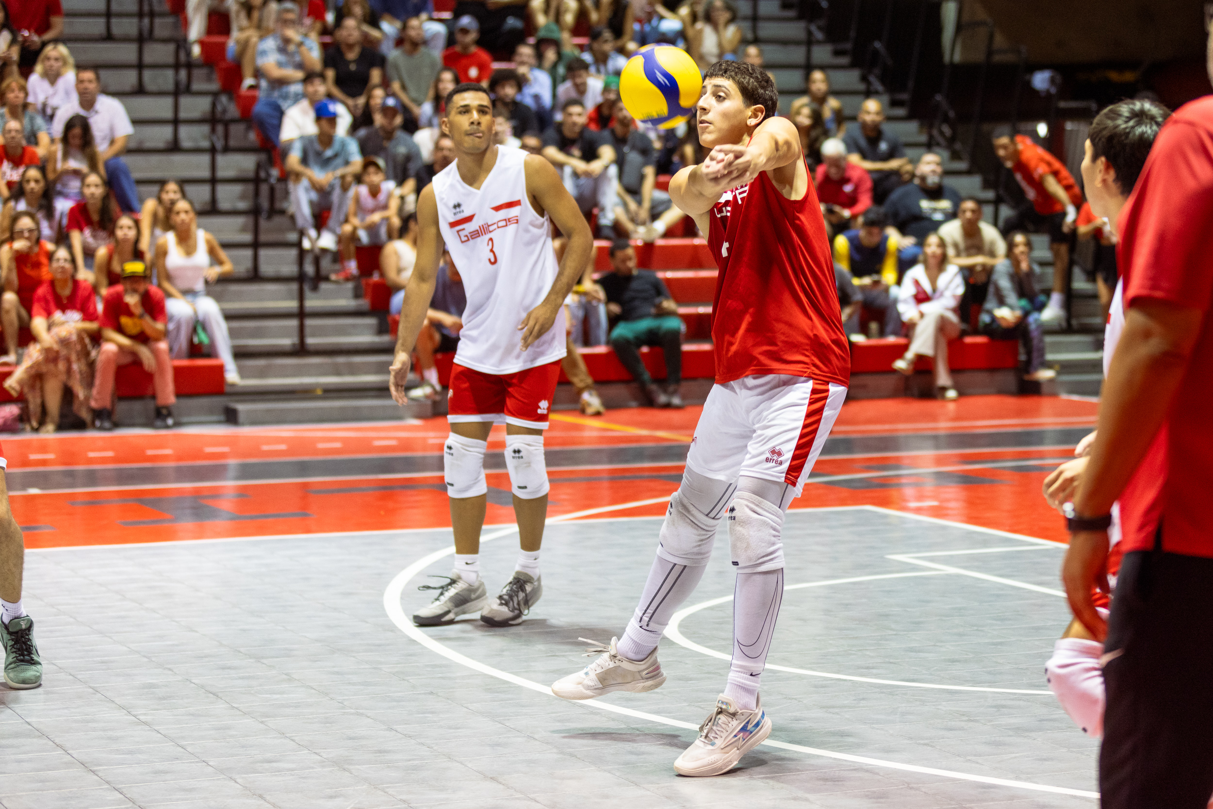 Equipo de voleibol masculino