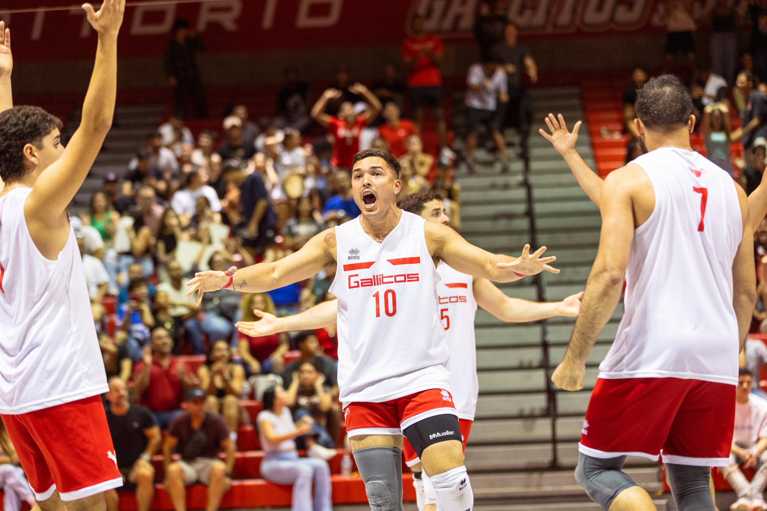 Equipo de voleibol masculino