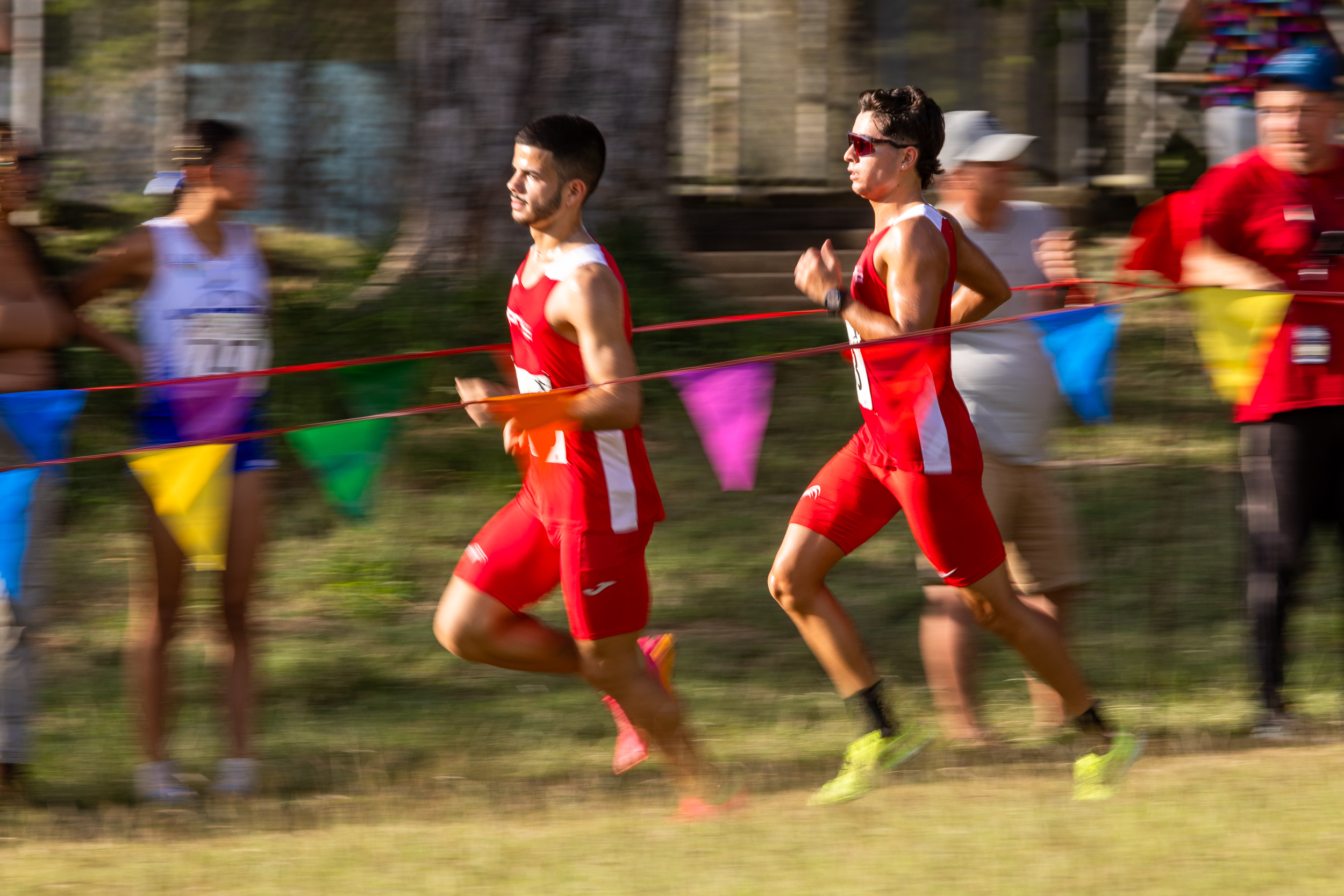 Competidores del equipo campo traviesa