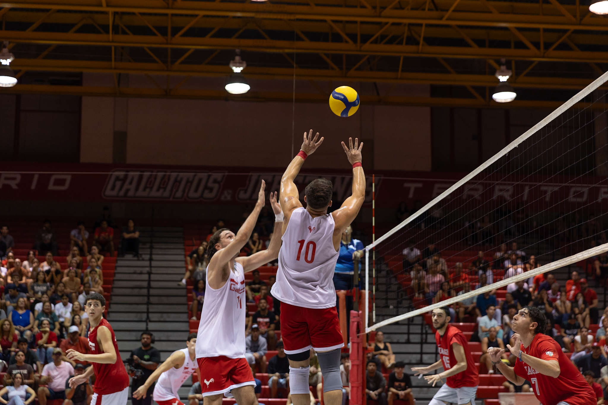 Equipo de voleibol masculino