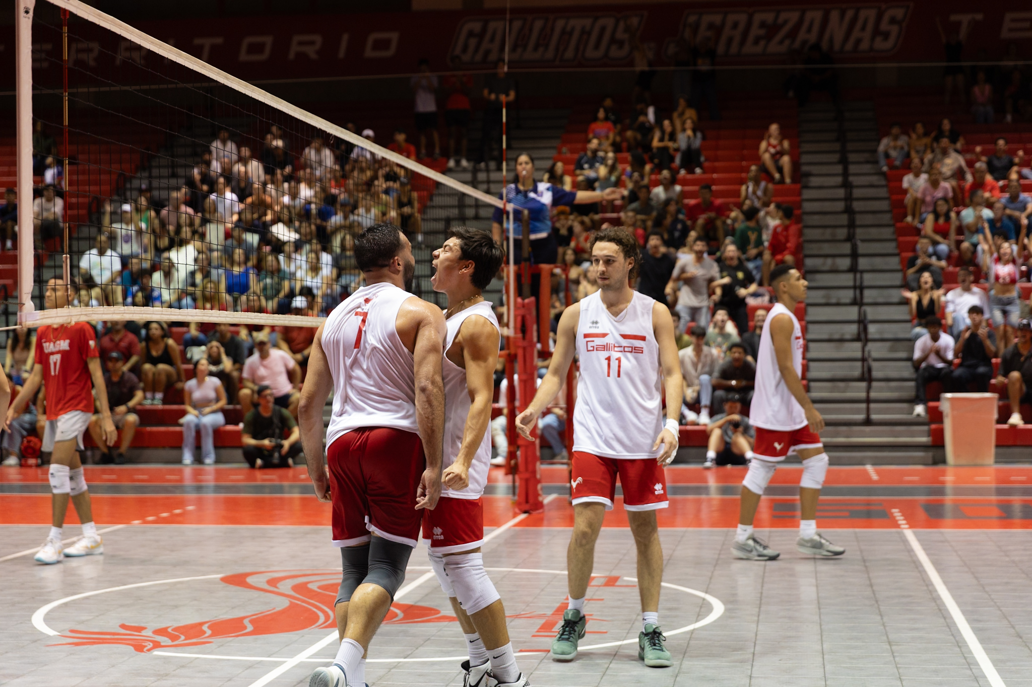 Equipo de voleibol masculino