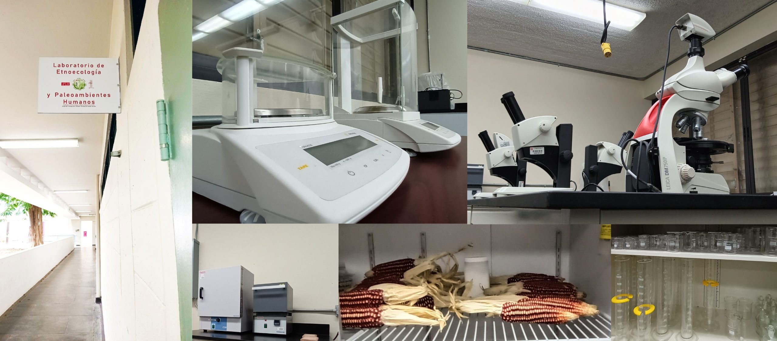 Imágenes Laboratorio de Etnoecología y Paleoambientes Humanos