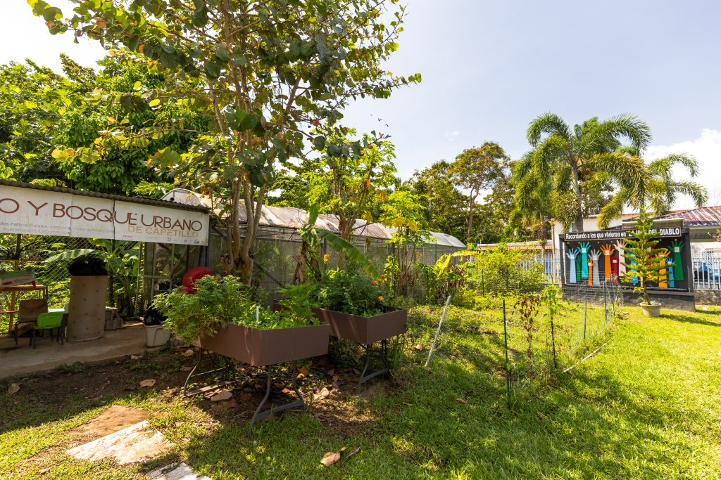 Huerto, Vivero y Bosque Urbano Comunitario de Capetillo