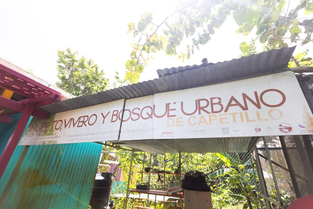 Huerto, Vivero y Bosque Urbano Comunitario de Capetillo