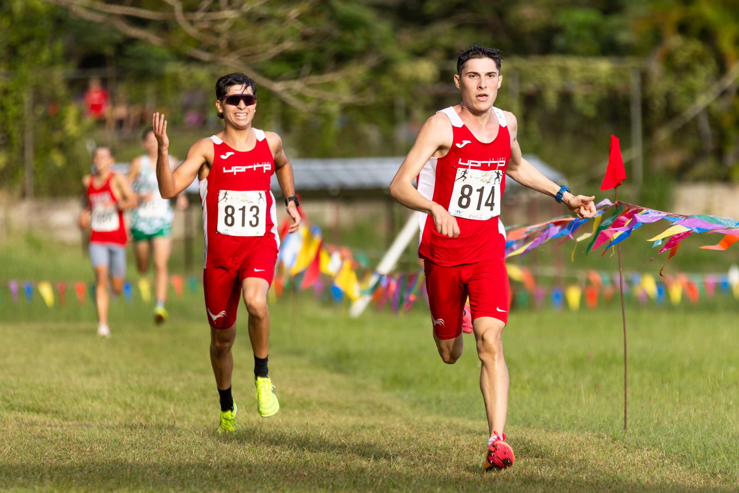 Gallitos en Campo Traviesa