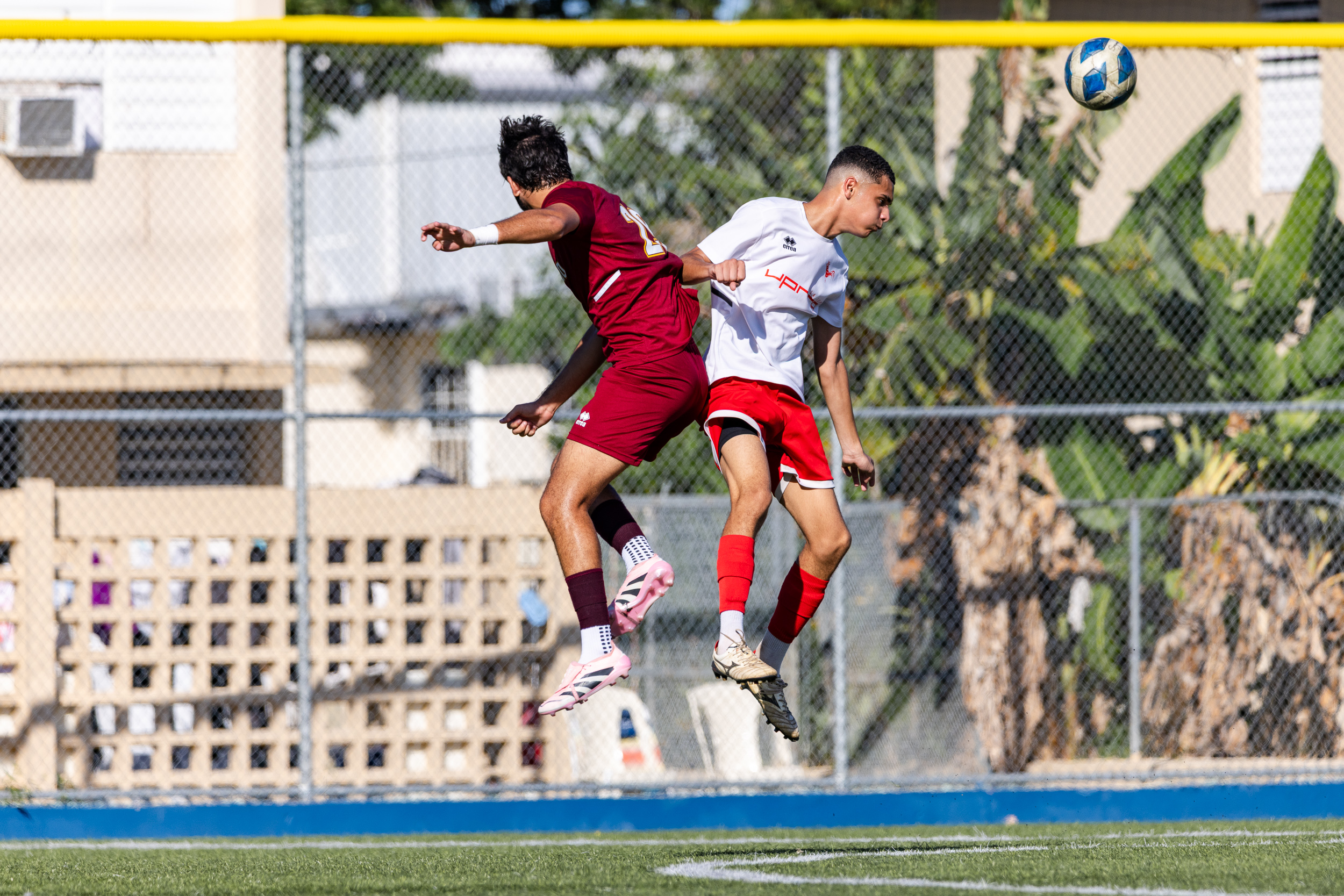 Gallito del equipo de Soccer