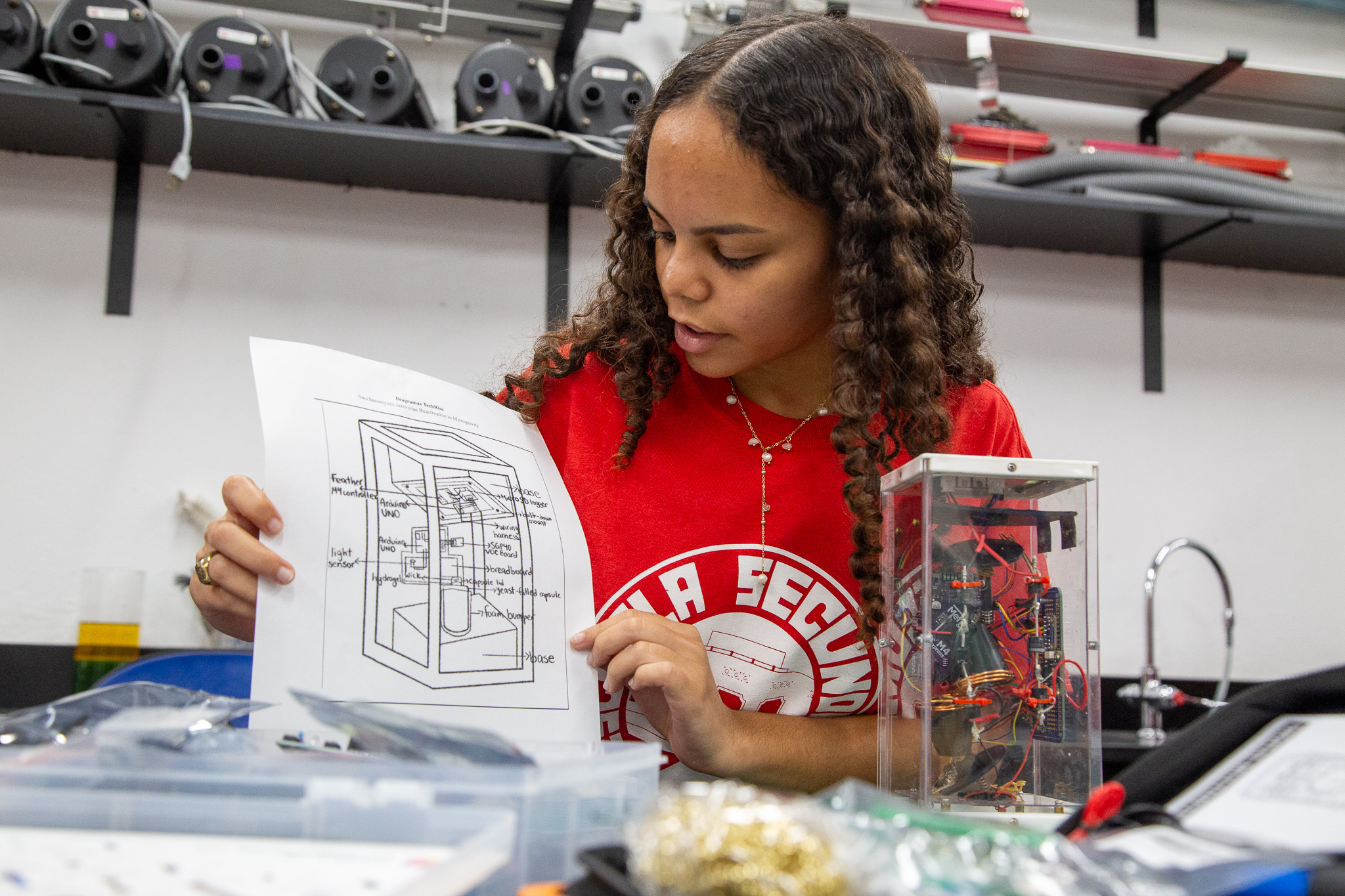 Estudiantes de la UHS trabajando en el proyecto junto a su profesora