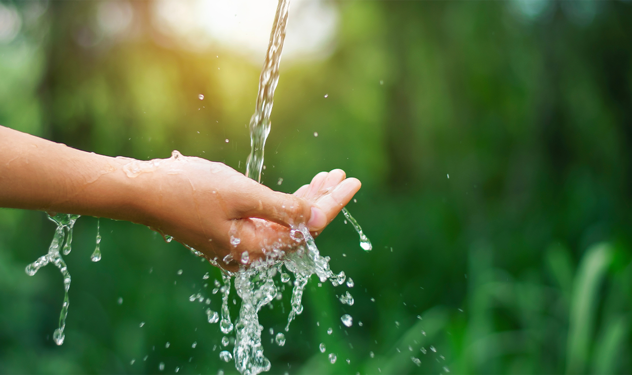 El Recinto de Río Piedras celebra la XII Conferencia Ciencia, Ambiente y Sociedad