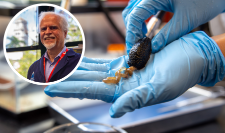 Investigación sobre regeneración intestinal en la UPR recibe nueva subvención del NIH y fortalece la formación de estudiantes científicos