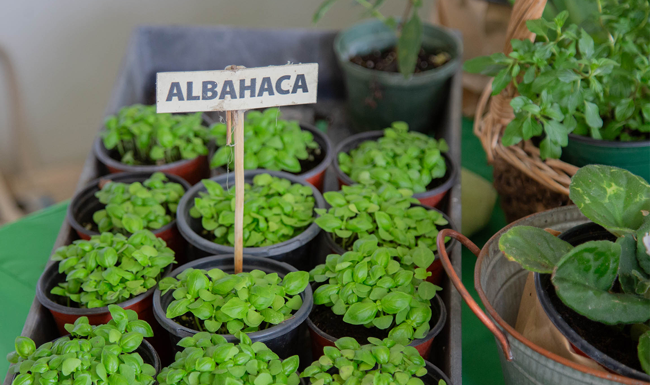 ¡Mercado Agrícola en Naturales!
